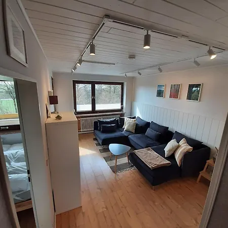 Familien Ferienwohnung Harzer Schoellchen Sankt Andreasberg Zewnętrze zdjęcie