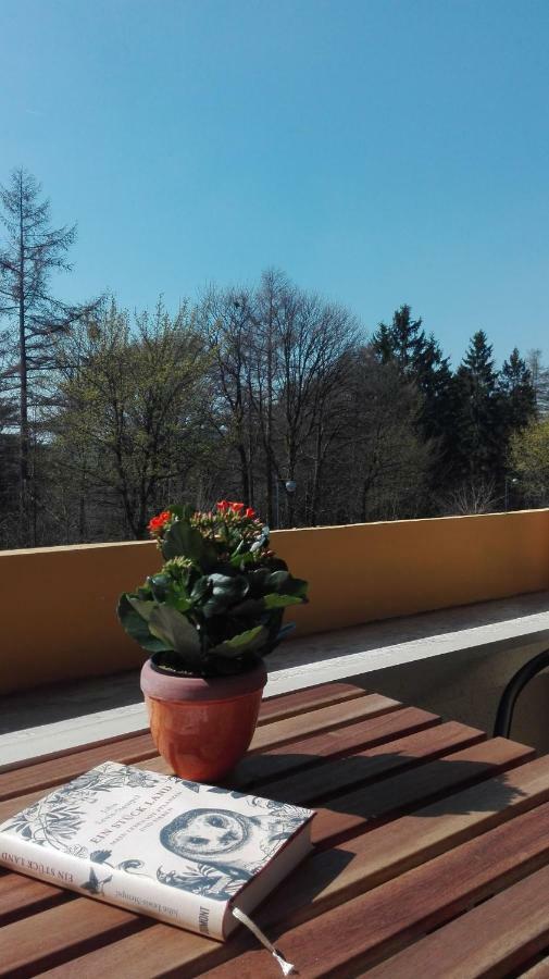 Familien Harzer Schoellchen Apartment *